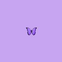 alhiyha_believe5