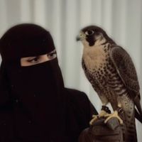 shahud.11