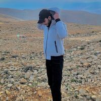 alirayed4