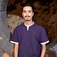 الصوت الأصلي