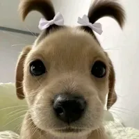 Melany_ mejía