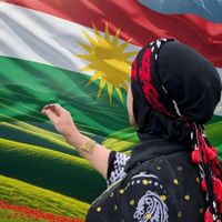 xanda_gull_17