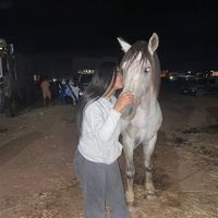 ayamhb005