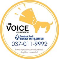 thevoicefoundation.org