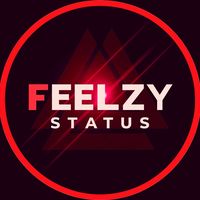 feelzy.status