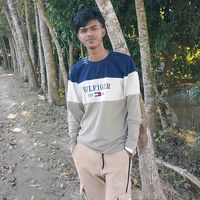 shainshain469