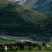 original sound - iekz10