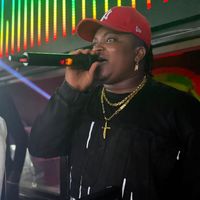 virus.dj.mr.vip