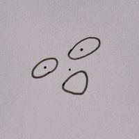 bota_mochi072