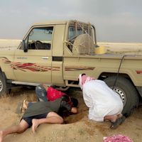 الصوت الأصلي