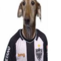 shitoatleticano