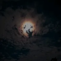 original sound - song9.9