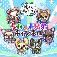 オリジナル楽曲 - ちわっす兄弟