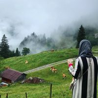 iwafaa.s