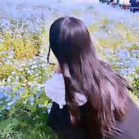 iolq._.noa