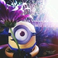 _cuenta_dedicada_a_nv