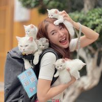 backcatter