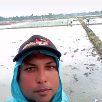 al.ichsan86