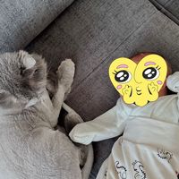 orijinal ses