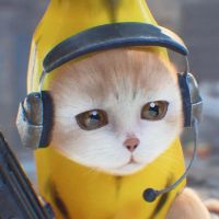 原声 - TinyYelly 小黄脸