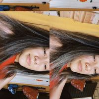 x_lvs_
