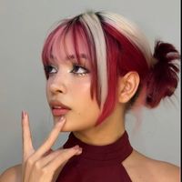 dailyludix