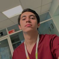 moikas.doc