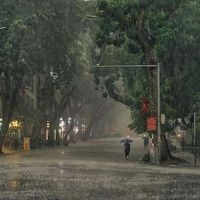 original sound - Music🎧🎼