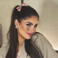 fan_.shams