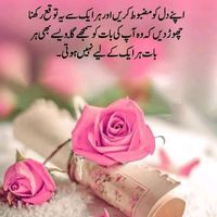 tahir.sab992
