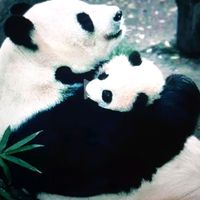 user.marina6