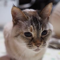 reiko4113