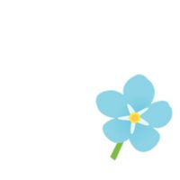 user.forget.me.not