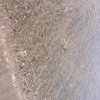 original sound - Maria Luisa