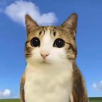 adam_b4_tech