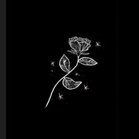 canse_78