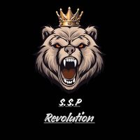original sound - Ssp Revolution