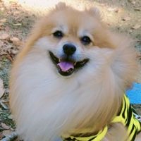ponchan.abc.425104111