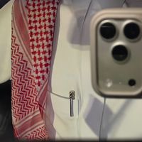 الصوت الأصلي