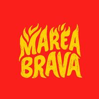 mareabrava.mx