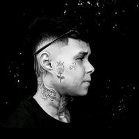 izadoraingridoficial