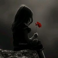 noor2020_0