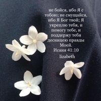 lizabeth_believer