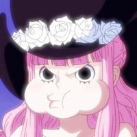 yutanewkawaii