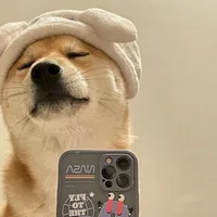 original sound - leakleak6657