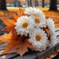 sevda_sevdam_
