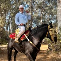 الصوت الأصلي