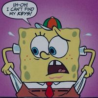 spongecloses