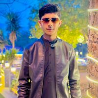faizi.2008