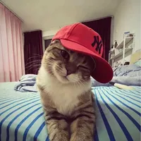 original sound - h4gn3s